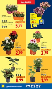 Catalogue Lidl, 21/05/2026 - 27/05/2026, Ça vaut le coup., 70 pages Prospectus Lidl en cours, "Ça vaut le coup.", 70 pages