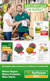 Aktueller ZG Raiffeisen Supermarkt Prospekt in Mosbach und Umgebung, "Gartenpflege im Herbst!" mit 8 Seiten, 12.09.2024 - 18.09.2024