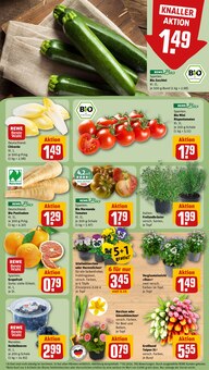 Narzissen im REWE Prospekt "Dein Markt" mit 24 Seiten (Frankfurt (Main))