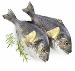Aktuelle Fisch Angebote bei Marktkauf in Heilbronn Aktuelles Dorade Royale Angebot bei Marktkauf in Heilbronn ab 1,79 €