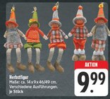 Herbstfigur Angebot in Motten Herbstfigur im aktuellen Prospekt bei nah und gut in Motten