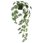 Topfpflanze, künstlich drinnen/draußen hängend/Monstera von FEJKA für 2,99 € bei IKEA im Angebot Topfpflanze, künstlich drinnen/draußen hängend/Monstera von FEJKA im aktuellen IKEA Prospekt