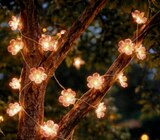 Solar-Lichterkette im Angebot bei toom Baumarkt in Meerbusch Solar-Lichterkette Angebote bei toom Baumarkt Meerbusch für 7,99 €