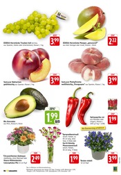 Ähnliche Angebote wie Tulpen im Prospekt "Aktuelle Angebote" auf Seite 3 von E center in Aalen