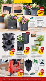 Aktueller Penny Prospekt mit Drucker, "Wer günstig will, muss Penny.", Seite 34