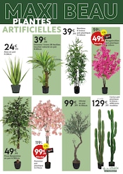 Fleurs Angebote im Prospekt "LES COUPS DE COEUR à mini prix !" von Maxi Bazar auf Seite 13