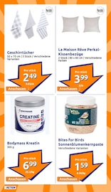 Aktueller Action Prospekt mit Kissen, "kleine Preise, grosse Freude!", Seite 21