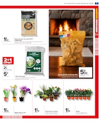 Prix et réduction Fleurs d'extérieur dans le prospectus Carrefour en cours Offre Fleurs d'extérieur dans le catalogue Carrefour du moment à la page 8