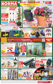 Norma Discounter Prospekt der aktuellen Woche mit 20 Seiten, gültig von 23.02.2026 bis 28.02.2026, in Kreuztal und Umgebung Aktueller Norma Discounter Prospekt in Kreuztal und Umgebung, "Mehr fürs Geld" mit 20 Seiten, 23.02.2026 - 28.02.2026
