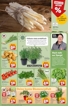 Blumen im aktuellen REWE Prospekt (Herne) Blumen im REWE Prospekt "Dein Markt" mit 34 Seiten (Herne)