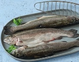Forelle Angebote bei tegut Aschaffenburg für 1,49 €