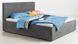Aktuelle Bett Angebote bei Trends in Duisburg Aktuelles Polsterbett PARES Angebot bei Trends in Duisburg ab 299,00 €