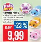 Hamster Mania bei Kaufhaus Stolz im Usedom Prospekt für 9,99 €