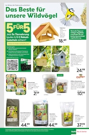 Aktueller BayWa Bau- und Gartenmärkte Prospekt mit Deko, "Hier bin ich gern", Seite 15