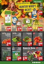 Aktueller EDEKA Prospekt mit Pflanzen, "Aktuelle Angebote", Seite 7