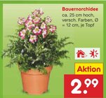 Aktuelle Orchidee Angebote bei Netto Marken-Discount in Dortmund Aktuelles Bauernorchidee Angebot bei Netto Marken-Discount in Dortmund ab 2,99 €
