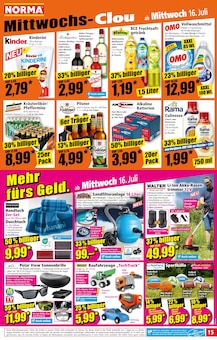 Stauden Angebot im aktuellen Norma Prospekt auf Seite 15