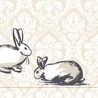 Papier-Mitteldecken/-Servietten im ALDI Nord Prospekt Papier-Mitteldecken/-Servietten von Kokett im aktuellen ALDI Nord Prospekt für 2,99 €