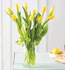 Bouquet de 10 tulipes de glace - Super U à Tours Bouquet de 10 tulipes de glace en promo chez Super U Tours à 5,99 €