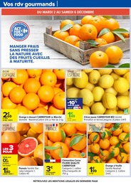 Offre Citron dans le catalogue Carrefour du moment à la page 41