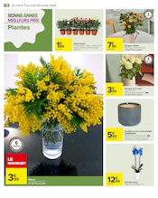 Plantes Angebote im Prospekt "NOUVELLE ANNÉE MEILLEURE PROMO" von Carrefour auf Seite 72