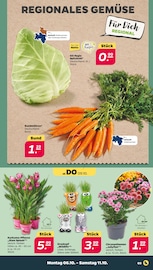 Aktueller Netto mit dem Scottie Prospekt mit Chrysantheme, "Günstig. Besser. Für Dich.", Seite 3