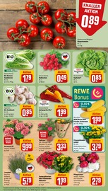 Balkonpflanzen im REWE Prospekt in Koblenz Aktueller REWE Prospekt mit Balkonpflanzen, "Dein Markt", Seite 7
