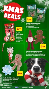 Weihnachtsdeko im Fressnapf Prospekt "Festliche Angebote" mit 24 Seiten (Koblenz)