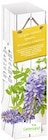Blauregen im Angebot bei Thomas Philipps in Oberhausen Blauregen Angebote bei Thomas Philipps Oberhausen für 3,33 €