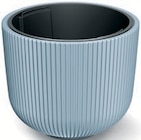 Übertopf Milly im Thomas Philipps Prospekt Übertopf Milly von im aktuellen Thomas Philipps Prospekt für 9,99 €