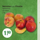 Nektarinen von  im aktuellen V-Markt Prospekt für 1,99 €