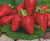 Plants de Fraisiers dans le catalogue Super U