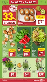 Stauden im ALDI Nord Prospekt in Laatzen Aktueller ALDI Nord Prospekt mit Stauden, "Aktuelle Angebote", Seite 27