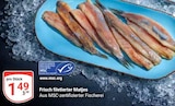 Aktuelle Lachs Angebote bei GLOBUS in Leipzig Aktuelles Frisch filetierter Matjes Angebot bei GLOBUS in Leipzig ab 1,49 €