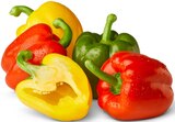Aktuelles Paprika-Mix Angebot bei Penny in Hannover ab 1,49 €