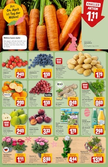 Kartoffeln im REWE Prospekt "Dein Markt" mit 33 Seiten (Freiburg (Breisgau))