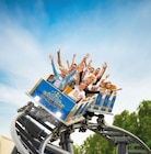z.B. Movie Park Germany  im aktuellen Lidl Prospekt für 59,00 €