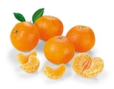 Mandarinen bei REWE im Meitingen Prospekt für 2,22 €