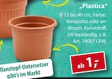Plastica Blumentopf im Angebot bei Sonderpreis Baumarkt in Lingen Plastica Blumentopf Angebote bei Sonderpreis Baumarkt Lingen für 1,00 €