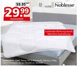 Sommerbett „Cool“ von Noblesse im aktuellen Segmüller Prospekt für 29,99 €