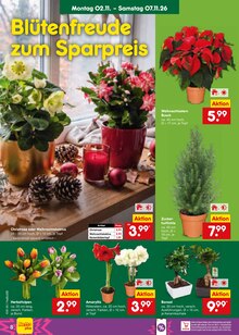 Zucker im aktuellen Netto Marken-Discount Prospekt (Essen) Zucker im Netto Marken-Discount Prospekt "Aktuelle Angebote" mit 70 Seiten (Essen)