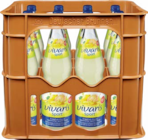 Aktuelles Sport Grapefruit-Zitrone Angebot bei Netto Marken-Discount in Bremerhaven ab 7,99 €