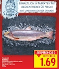 Saibling für 1,69 € bei E center im Angebot Saibling im aktuellen E center Prospekt