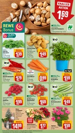 Pflanzen Angebot & Preis im aktuellen REWE Prospekt Pflanzen Angebot im aktuellen REWE Prospekt auf Seite 7
