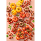 Tomates Rondes En Grappe Bio dans le catalogue Auchan Hypermarché