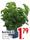 Basilikum XL bei EDEKA im Kressbronn Prospekt für 1,79 €