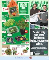 Aktueller Marktkauf Prospekt mit Blumen, "Aktuelle Angebote", Seite 7