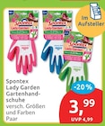 Lady Garden Gartenhandschuhe von Spontex im aktuellen budni Prospekt