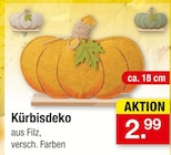 Kürbisdeko im Angebot bei Zimmermann in Mainz Kürbisdeko Angebote bei Zimmermann Mainz für 2,99 €