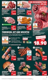 Lamm im Kaufland Prospekt in Oranienburg Aktueller Kaufland Prospekt mit Lamm, "KNÜLLER", Seite 35